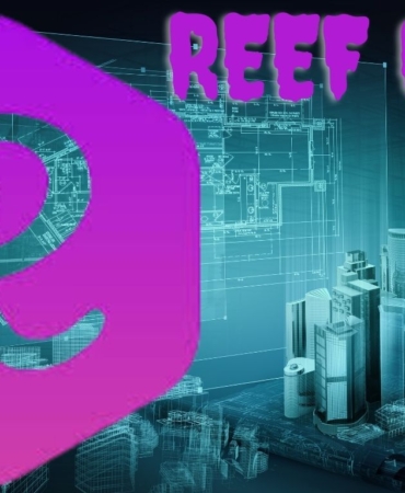 REEF Coin Yükselişi: DeFi Dünyasının Gözdesi mi Oluyor? Proje, Gelişmeler ve Potansiyel! 2 Reef Coin