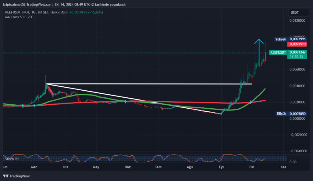 Reef Coin Grafiği