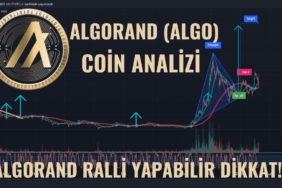 Algorand teknik analiz