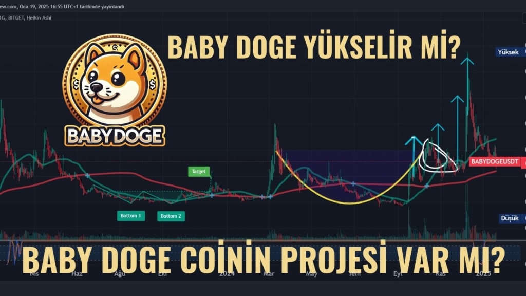 BABY DOGE COİN ANALİZİ