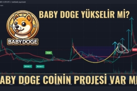 BABY DOGE COİN ANALİZİ