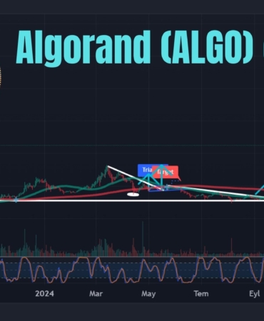 Algorand (ALGO) Günlük Grafiği: Büyük Kırılım Geldi mi? Hedef Noktalar ve Altcoin Rallisi İçin Kritik Seviyeler! 🚀 2 Algorand (ALGO) Coin