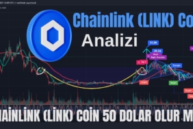Chainlink (LINK) Coin
