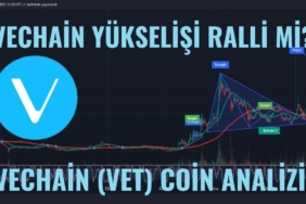 VECHAİN (VET) COİN ANALİZİ