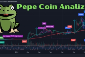 PEPE COİN ANALİZİ