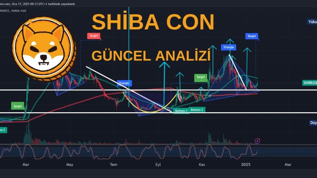 SHIBA COİN ANALİZİ