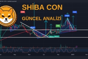 SHIBA COİN ANALİZİ