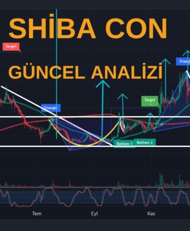 Shiba Coin Geri mi Dönüyor? 🚀 Kritik Seviyeler ve Son Durum Analizi! 8 SHIBA COİN ANALİZİ