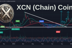 XCN Coin Analizi