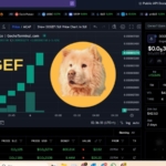 DOGEF ROKETE BAĞLADI! %16 YÜKSELİŞLE KRİPTO DÜNYASINDA GÜNDEMDE! 29 DOGEF Teknik Analizi