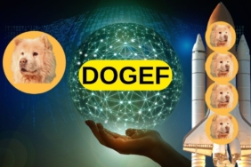 DogeF Nereden ve Nasıl Alınır? 8 DOGEF