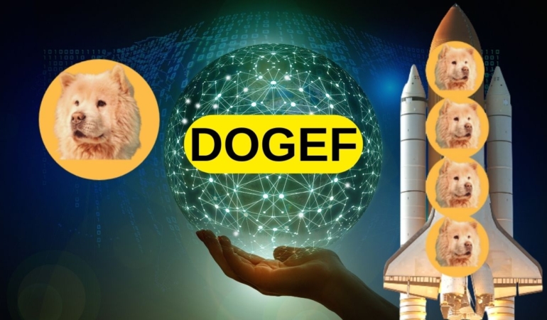 DogeF Nereden ve Nasıl Alınır? 1 DOGEF