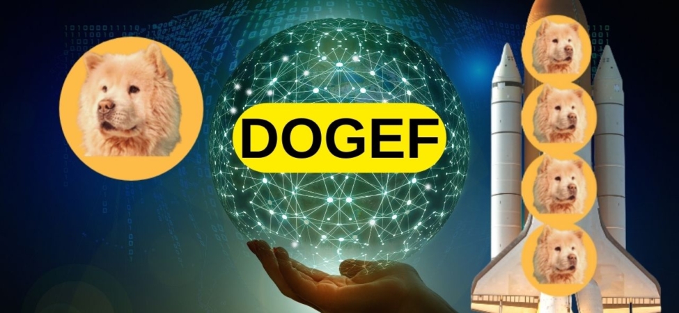 DogeF Nereden ve Nasıl Alınır? 14 DOGEF