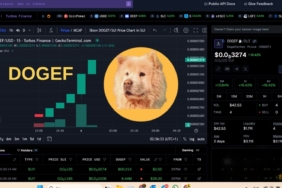 DOGEF ROKETE BAĞLADI! %16 YÜKSELİŞLE KRİPTO DÜNYASINDA GÜNDEMDE! 9 DOGEF Teknik Analizi