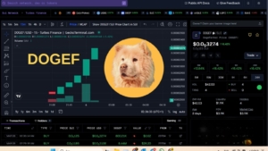 DOGEF Teknik Analizi