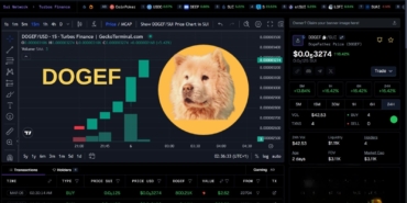 DOGEF ROKETE BAĞLADI! %16 YÜKSELİŞLE KRİPTO DÜNYASINDA GÜNDEMDE! 10 DOGEF Teknik Analizi