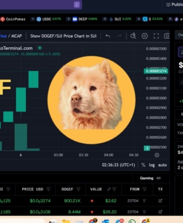 DOGEF ROKETE BAĞLADI! %16 YÜKSELİŞLE KRİPTO DÜNYASINDA GÜNDEMDE! 2 DOGEF Teknik Analizi