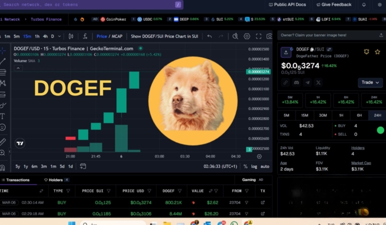 DOGEF ROKETE BAĞLADI! %16 YÜKSELİŞLE KRİPTO DÜNYASINDA GÜNDEMDE! 6 DOGEF Teknik Analizi