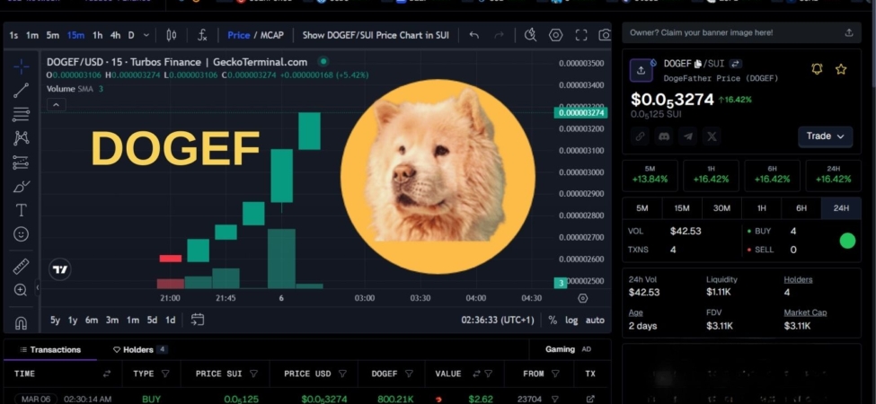 DOGEF ROKETE BAĞLADI! %16 YÜKSELİŞLE KRİPTO DÜNYASINDA GÜNDEMDE! 15 DOGEF Teknik Analizi
