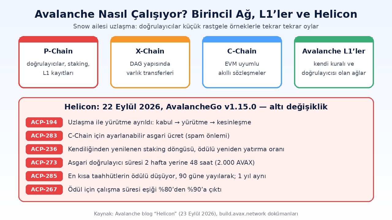 Avalanche nasıl çalışıyor: P-Chain, X-Chain, C-Chain, Avalanche L1 ağları ve Helicon güncellemesinin altı ACP değişikliği