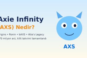 Axie Infinity (AXS) nedir kapak görseli