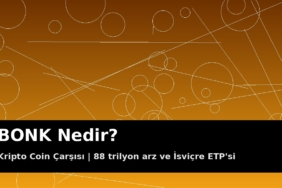 BONK Nedir? 88 Trilyon Arz, İsviçre ETP'si ve Upbit Baskısı 9 BONK Solana meme coin kapak görseli