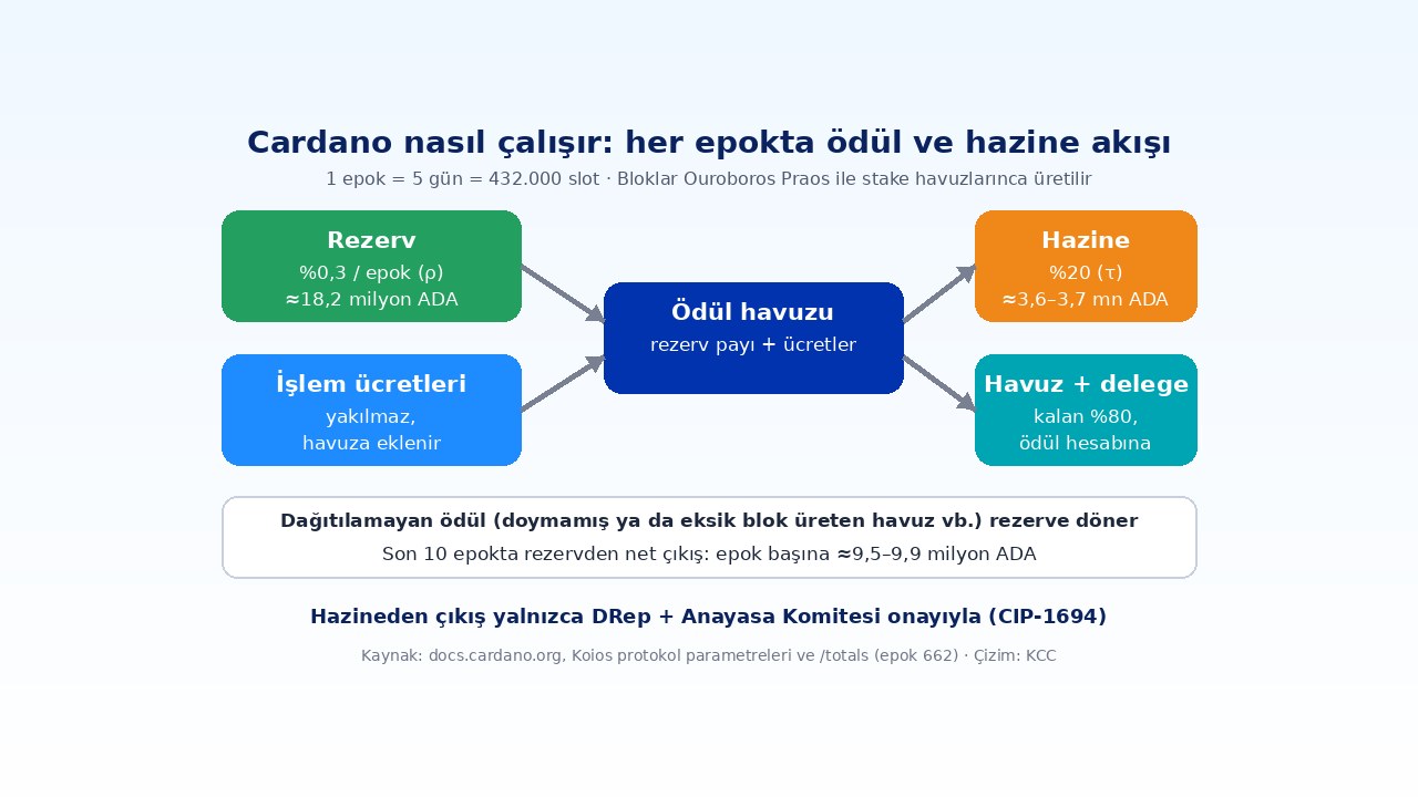 Cardano (ADA) Nedir? eUTXO, 45 Milyar Arz ve Hazine Oyları 1 Cardano nasıl çalışır: rezerv emisyonu, işlem ücretleri, ödül havuzu ve hazine akışı