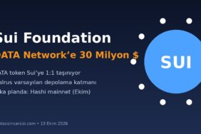 Sui Foundation DATA Network kapak görseli