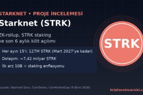 Starknet STRK proje incelemesi kapak görseli
