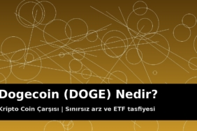 Dogecoin (DOGE) meme coin kapak görseli