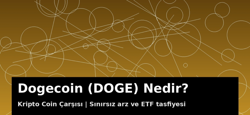 Dogecoin (DOGE) meme coin kapak görseli