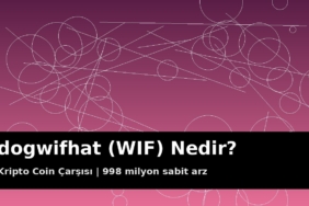 dogwifhat (WIF) Nedir? 998 Milyon Sabit Arz ve Solana Meme Rüzgârı 10 dogwifhat (WIF) meme coin kapak görseli