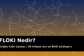 FLOKI Nedir? 20 Trilyon Maksimum Arz, RICE Airdrop'u ve Son Durum 8 FLOKI meme coin kapak görseli