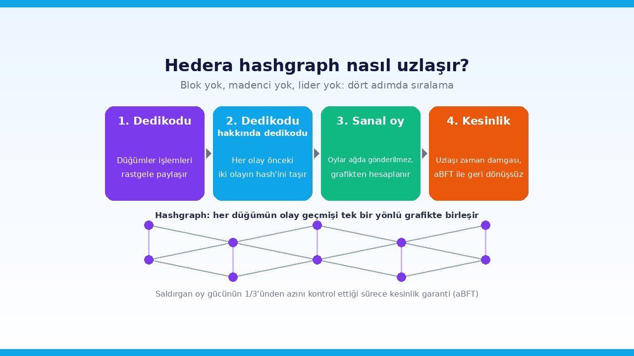 Hedera hashgraph nasıl çalışır: dedikodu, sanal oylama ve aBFT kesinlik