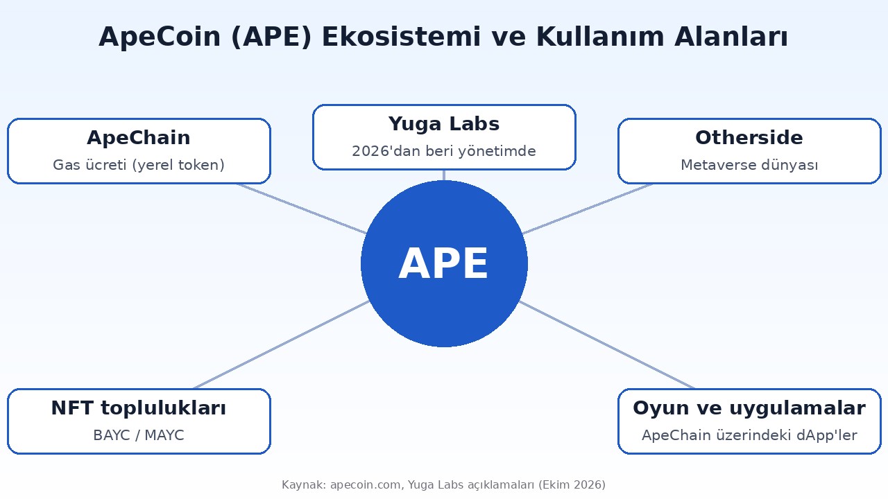 ApeCoin ekosistemi: ApeChain, Otherside, BAYC toplulukları ve uygulamalar