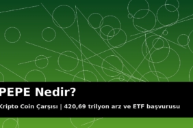PEPE Nedir? 420,69 Trilyon Arz, ETF Başvurusu ve Son Durum 17 PEPE meme coin kapak görseli
