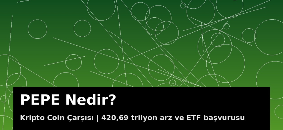 PEPE meme coin kapak görseli