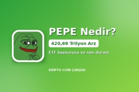 PEPE logosu ile 420,69 trilyon arz kapak görseli