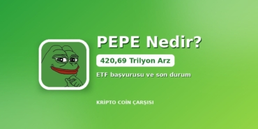 PEPE logosu ile 420,69 trilyon arz kapak görseli