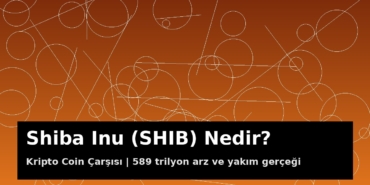 Shiba Inu (SHIB) Nedir? 589 Trilyon Arz, Yakım Gerçeği ve Shibarium 6 Shiba Inu (SHIB) meme coin kapak görseli