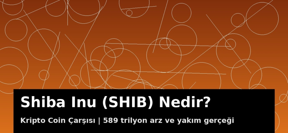 Shiba Inu (SHIB) meme coin kapak görseli