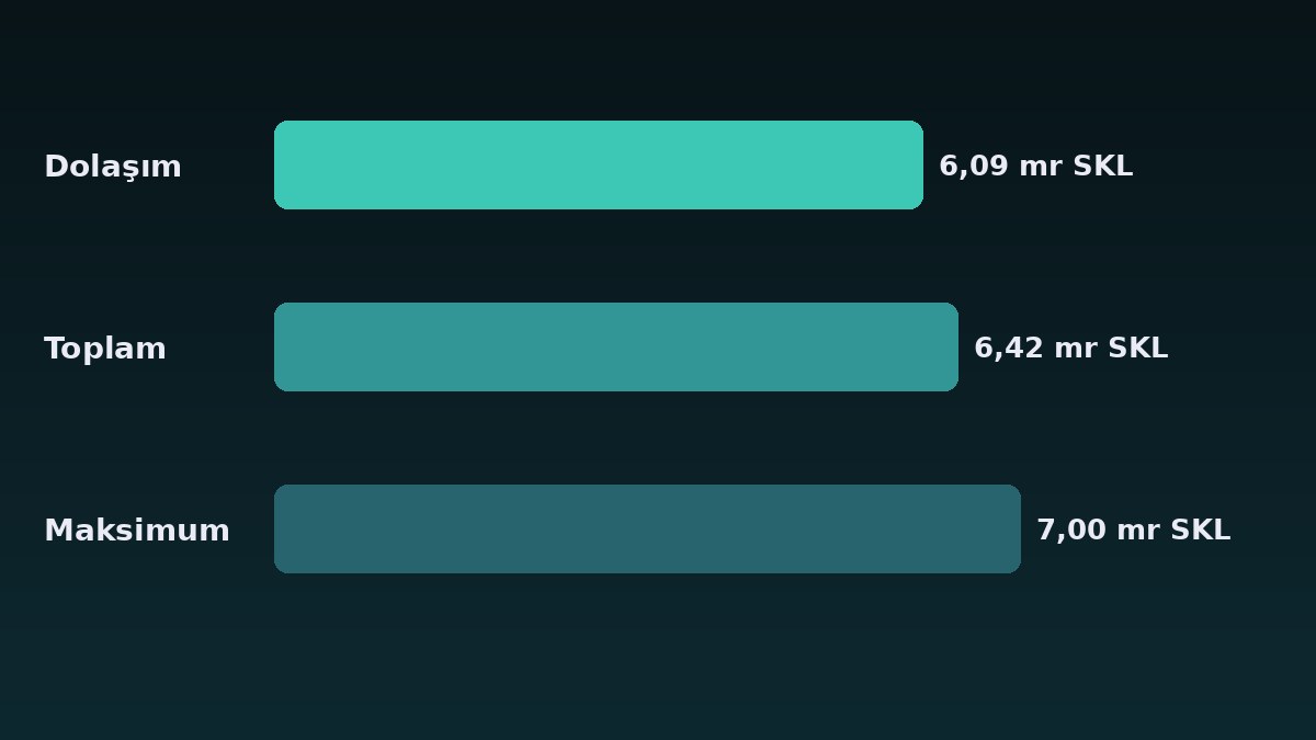 SKALE Coin Neden Yeniden Konuşuluyor? SIP-6, Köprü Saldırısı ve Negatif Fonlama 3 SKALE Coin dolaşımdaki, toplam ve 7 milyar maksimum arz karşılaştırması